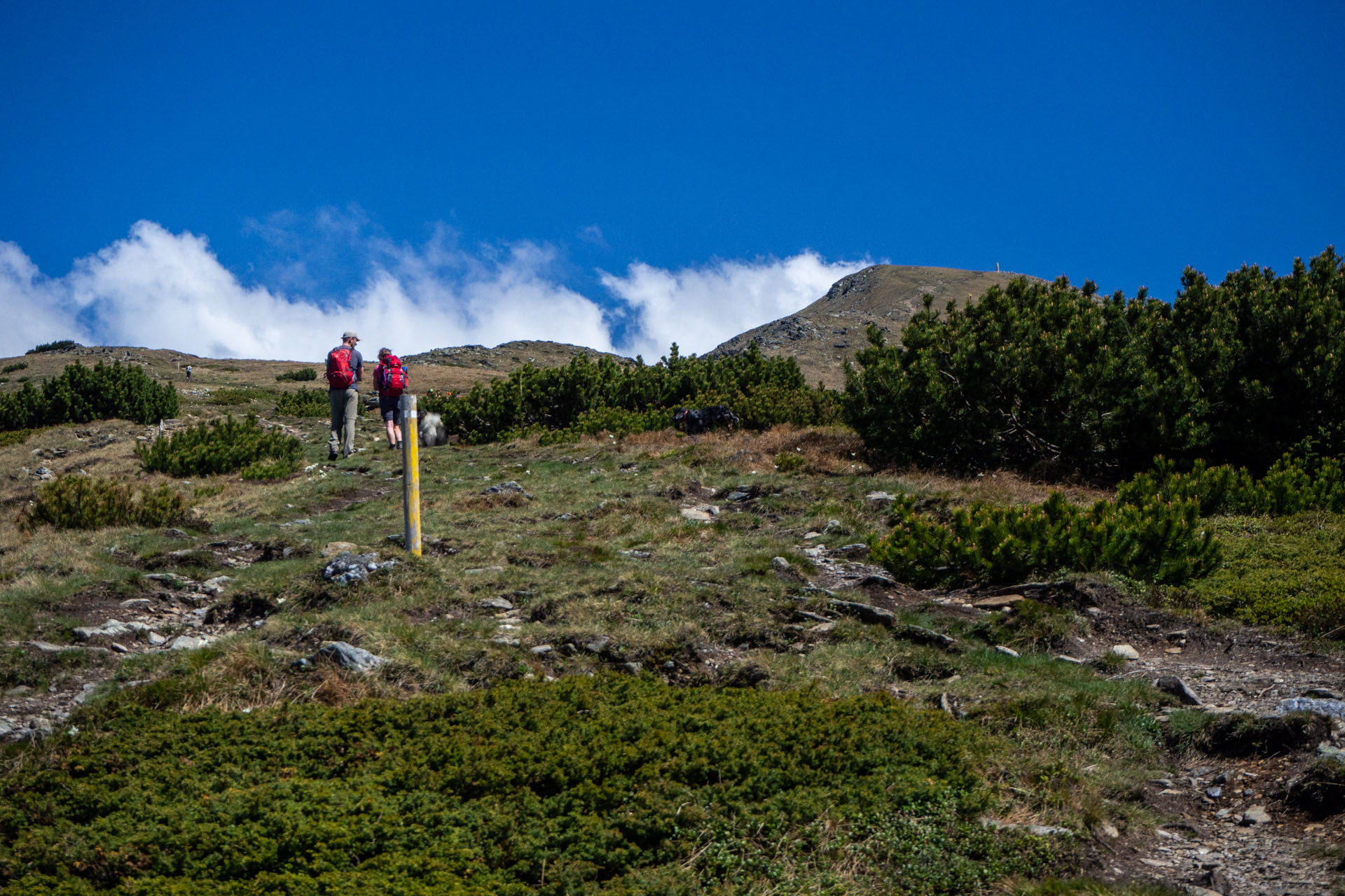 Baranec zo Žiarskej doliny (Západné Tatry)