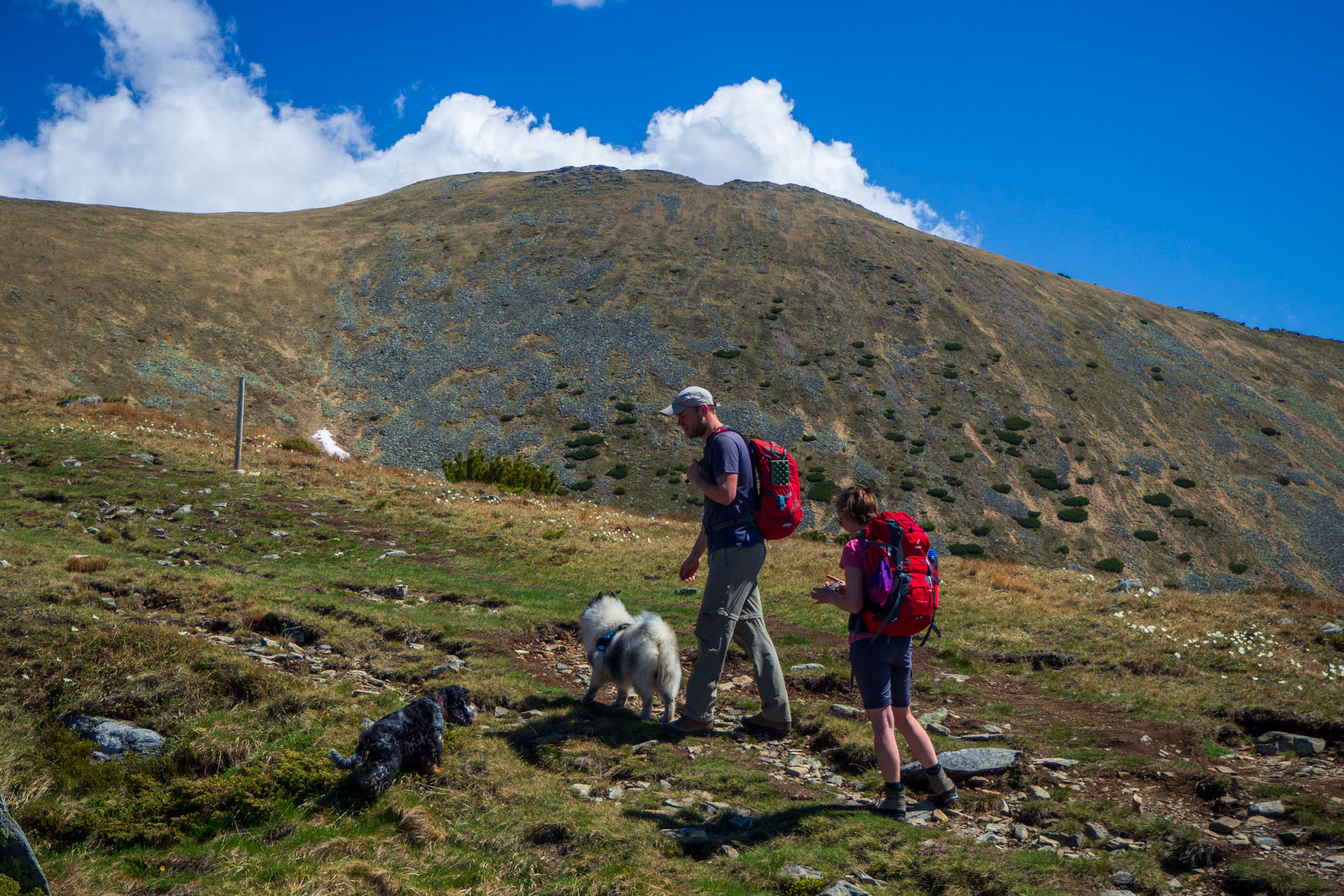 Baranec zo Žiarskej doliny (Západné Tatry)