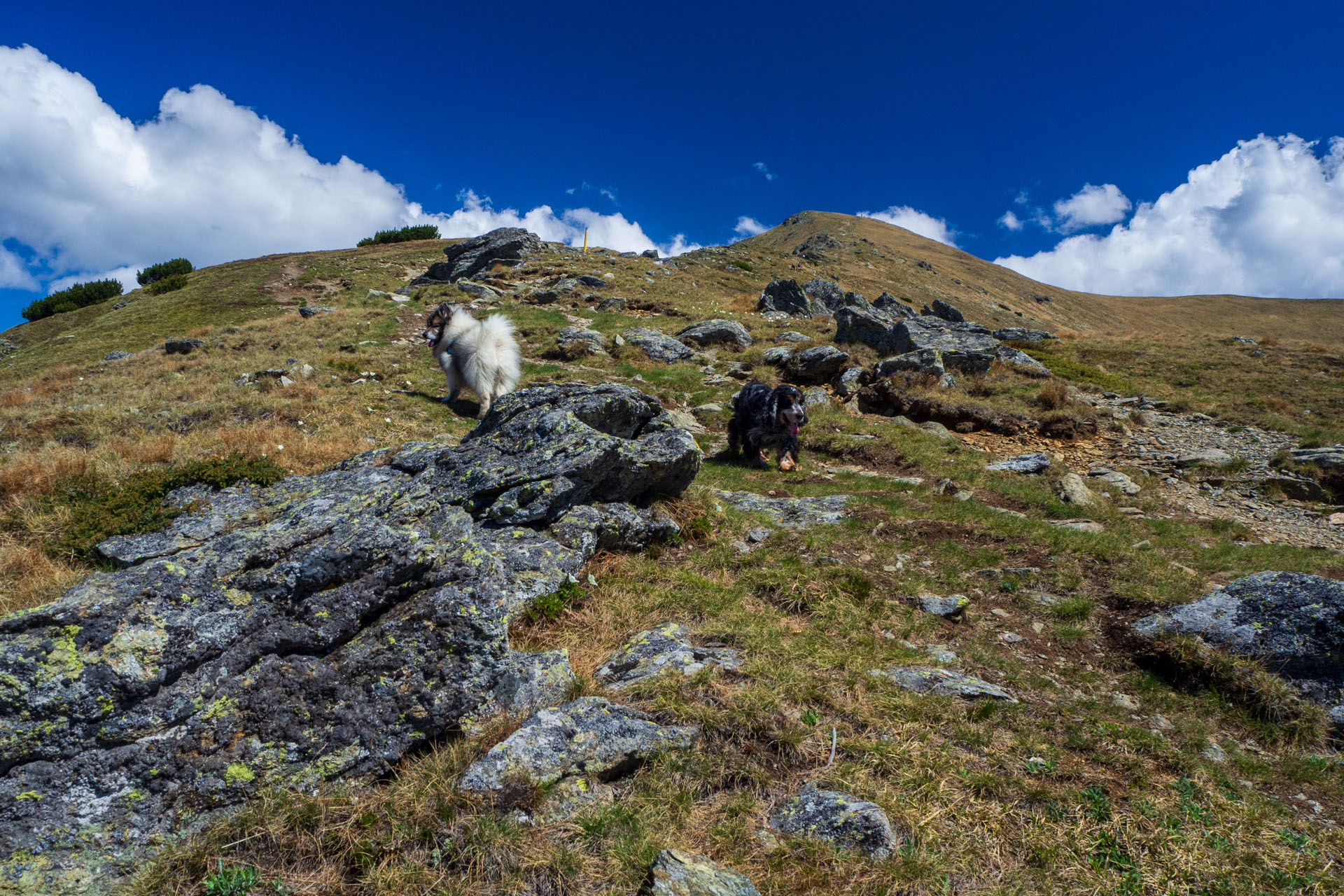 Baranec zo Žiarskej doliny (Západné Tatry)