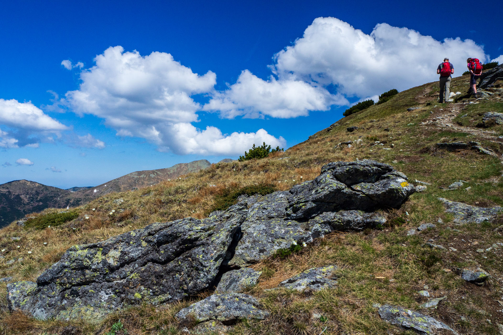 Baranec zo Žiarskej doliny (Západné Tatry)