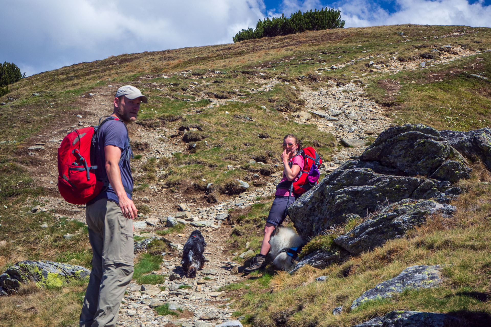 Baranec zo Žiarskej doliny (Západné Tatry)