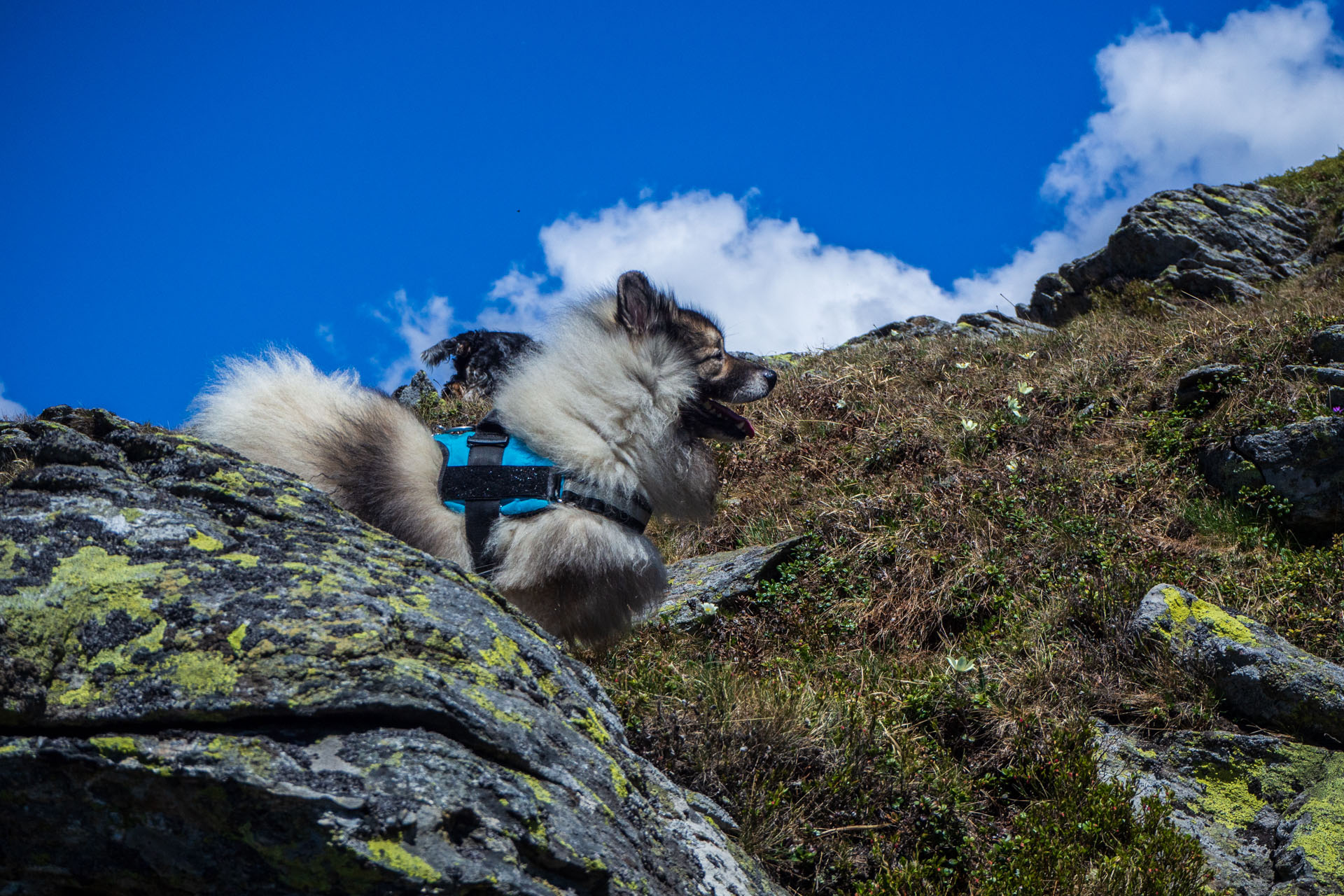 Baranec zo Žiarskej doliny (Západné Tatry)