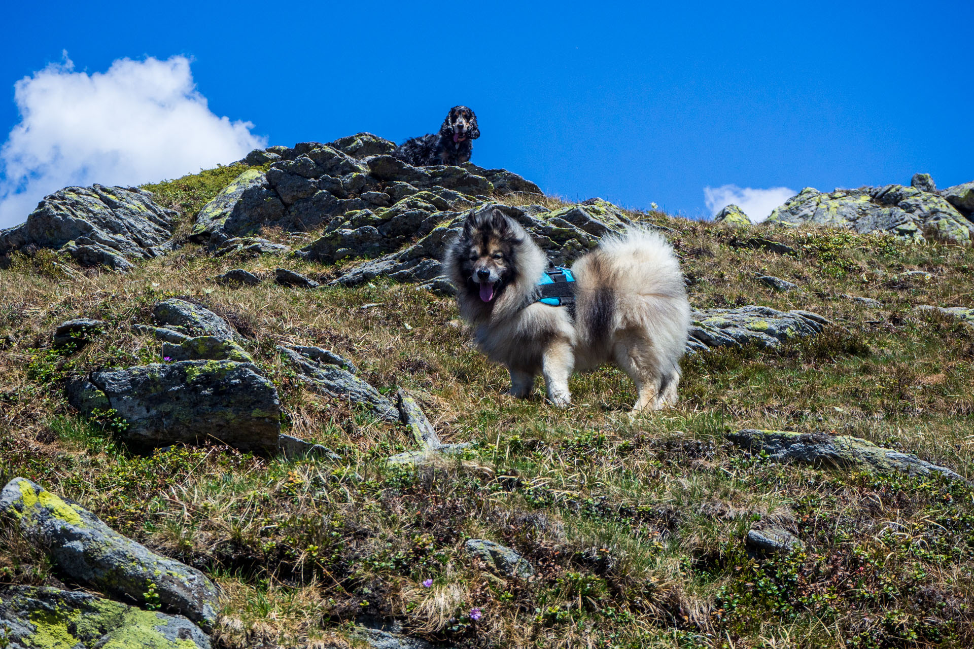 Baranec zo Žiarskej doliny (Západné Tatry)