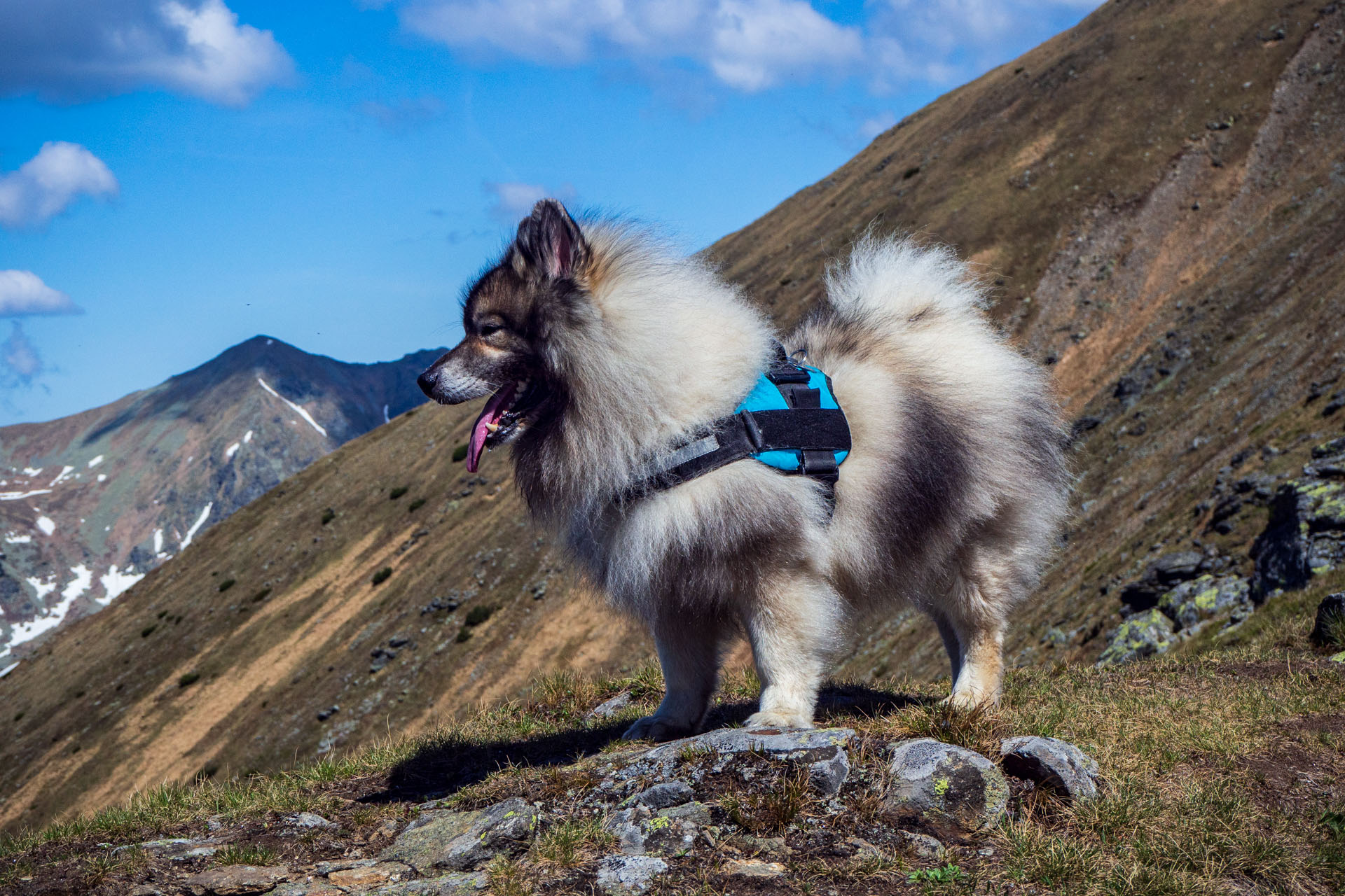 Baranec zo Žiarskej doliny (Západné Tatry)