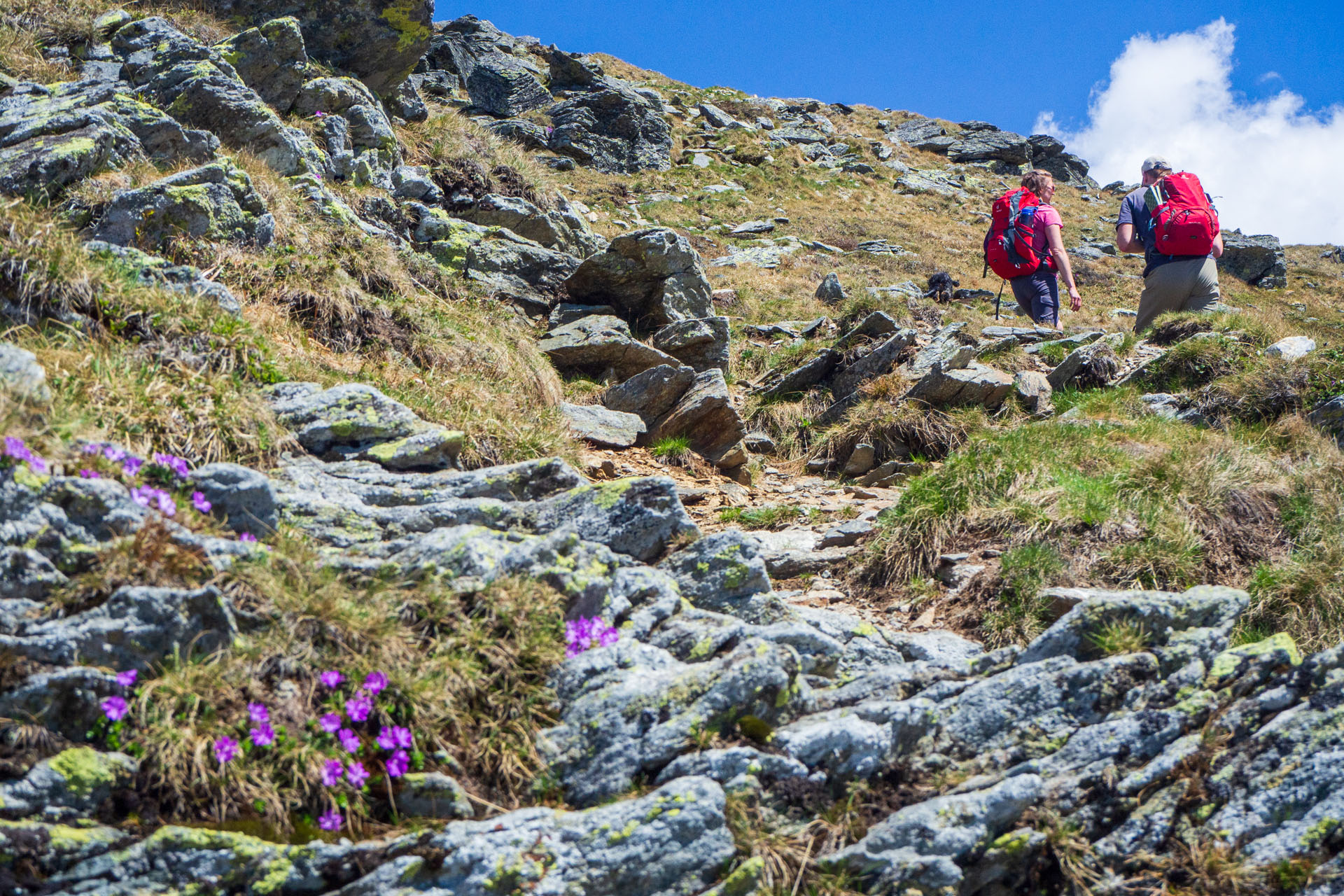 Baranec zo Žiarskej doliny (Západné Tatry)