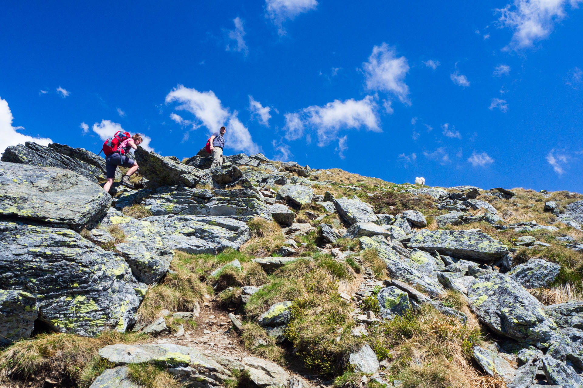 Baranec zo Žiarskej doliny (Západné Tatry)