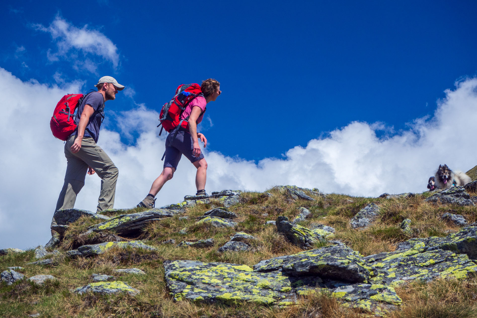 Baranec zo Žiarskej doliny (Západné Tatry)