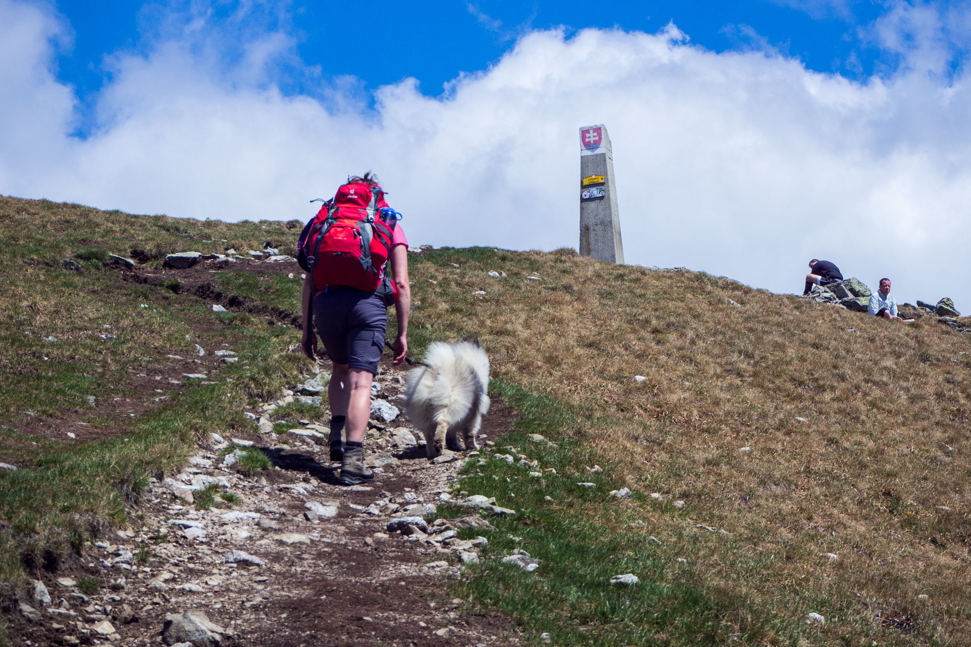 Baranec zo Žiarskej doliny (Západné Tatry)