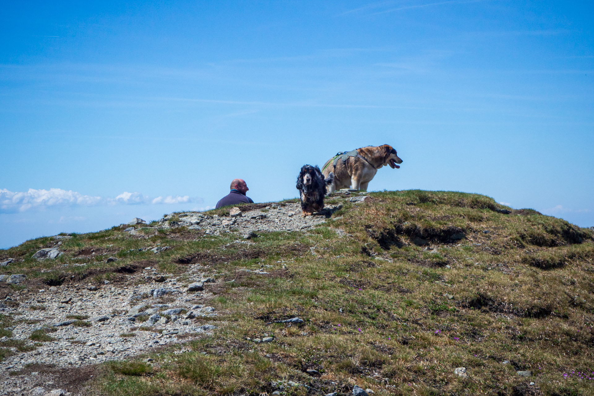 Baranec zo Žiarskej doliny (Západné Tatry)