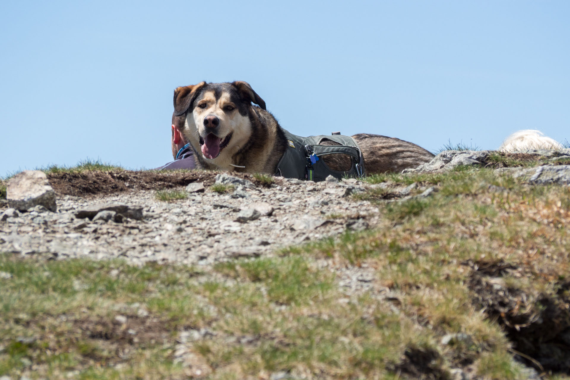 Baranec zo Žiarskej doliny (Západné Tatry)