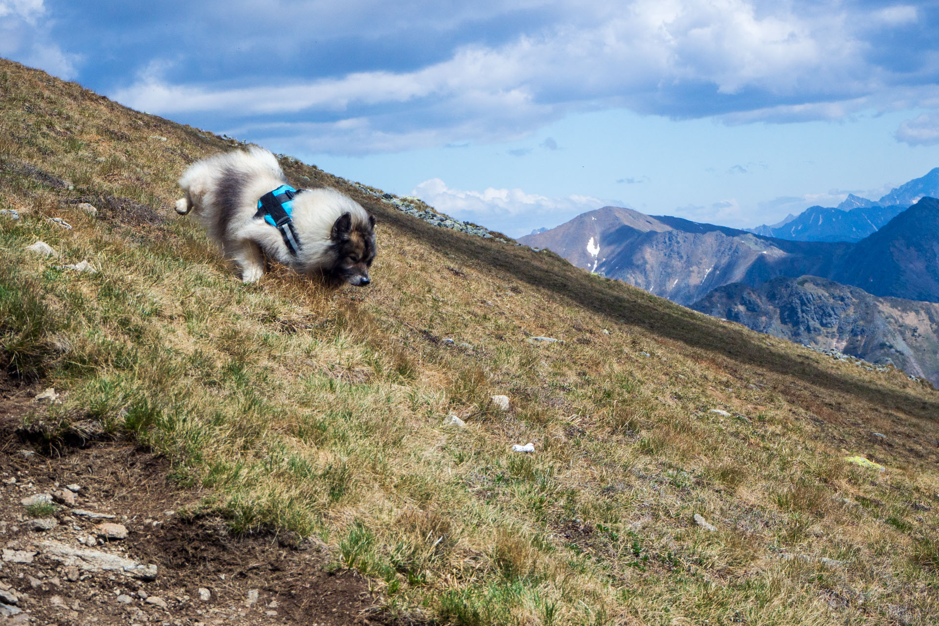 Baranec zo Žiarskej doliny (Západné Tatry)