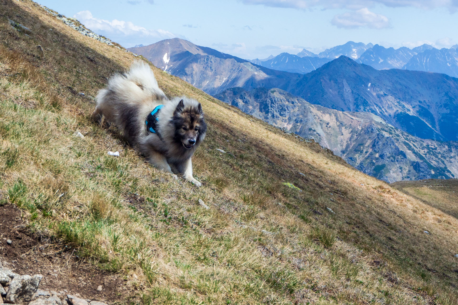 Baranec zo Žiarskej doliny (Západné Tatry)