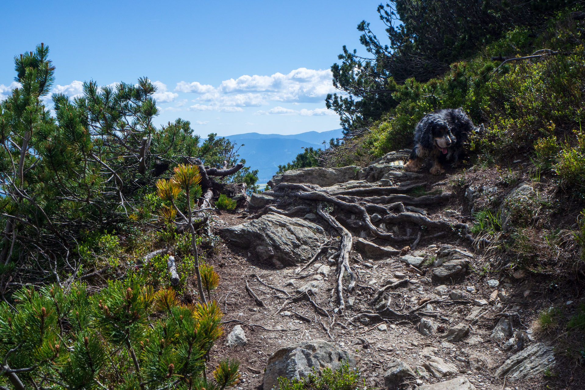 Baranec zo Žiarskej doliny (Západné Tatry)