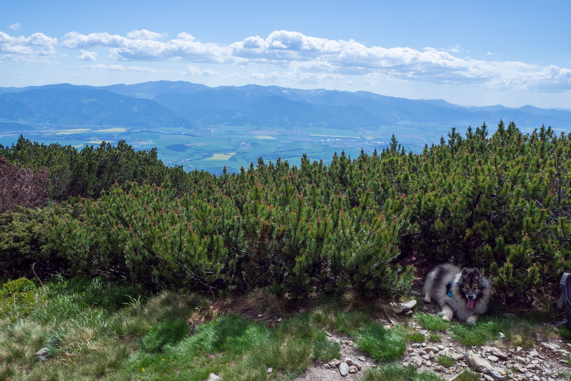 Baranec zo Žiarskej doliny (Západné Tatry)