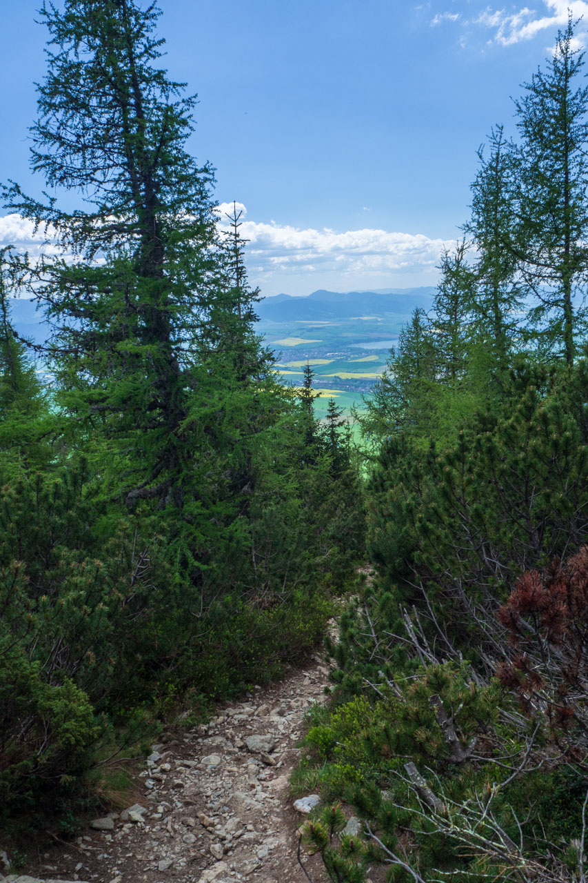 Baranec zo Žiarskej doliny (Západné Tatry)