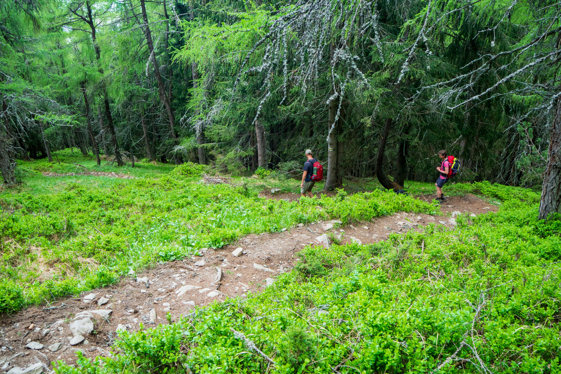 Baranec zo Žiarskej doliny (Západné Tatry)