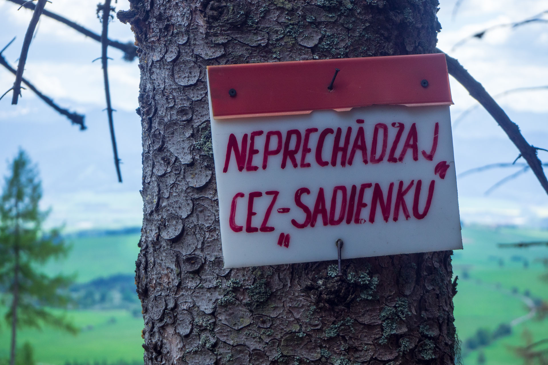 Baranec zo Žiarskej doliny (Západné Tatry)