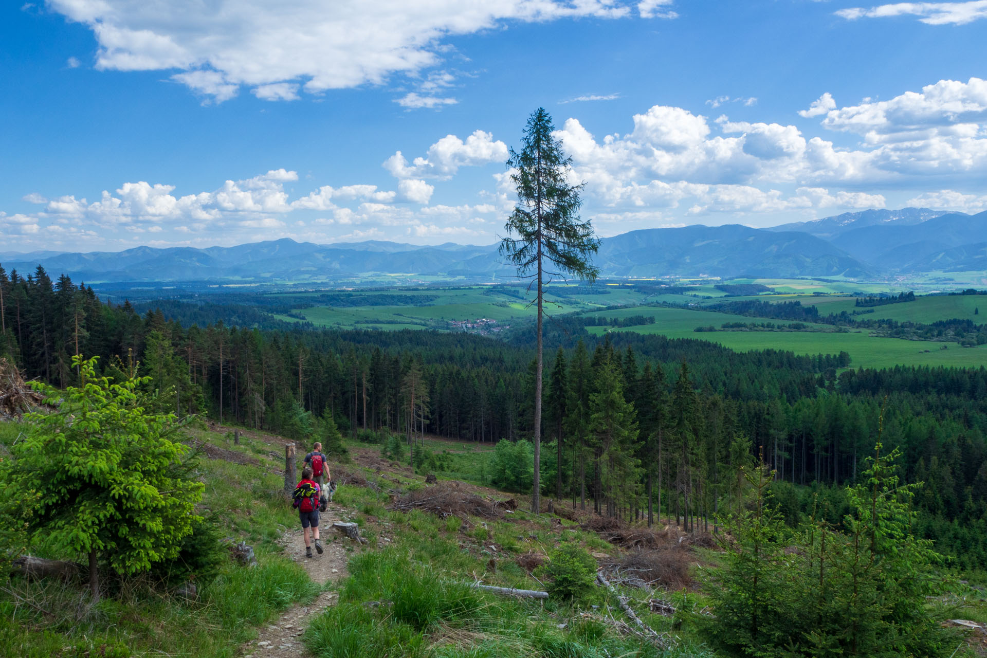 Baranec zo Žiarskej doliny (Západné Tatry)