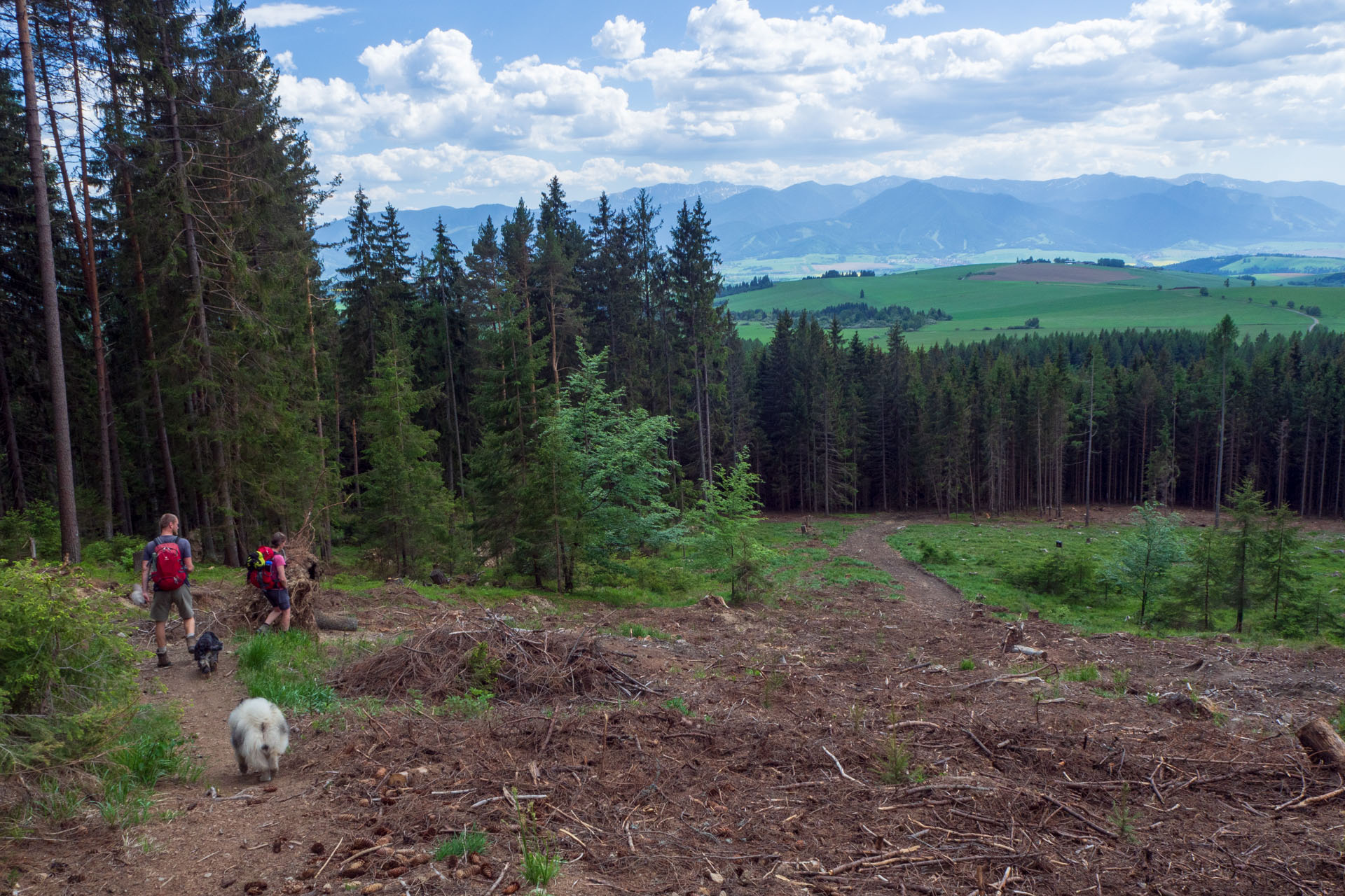 Baranec zo Žiarskej doliny (Západné Tatry)