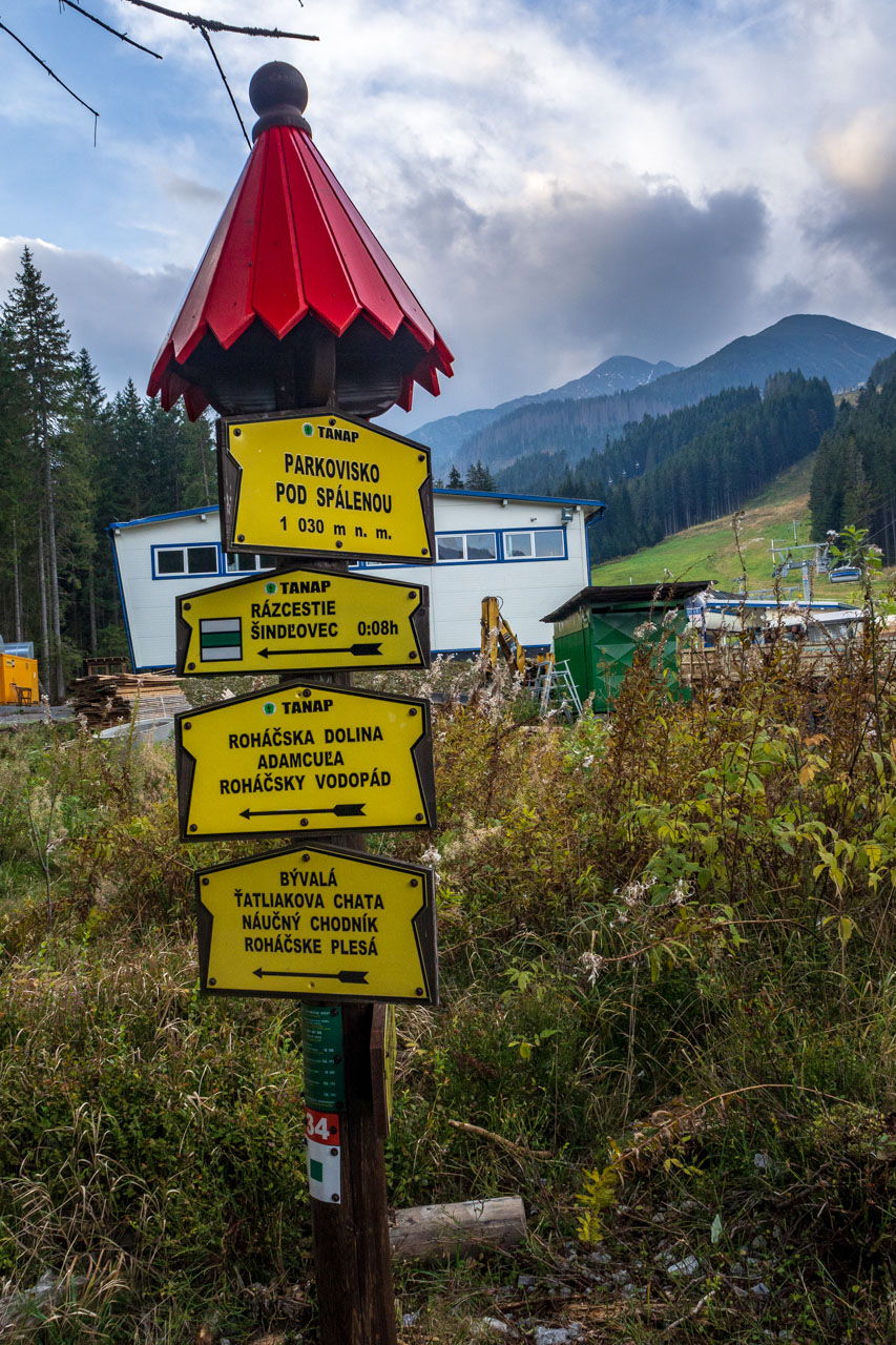 Brestová z Pod Spálenej (Západné Tatry)