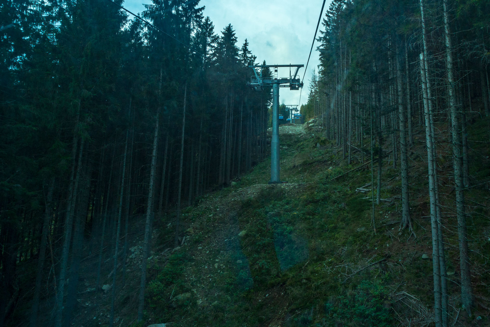 Brestová z Pod Spálenej (Západné Tatry)