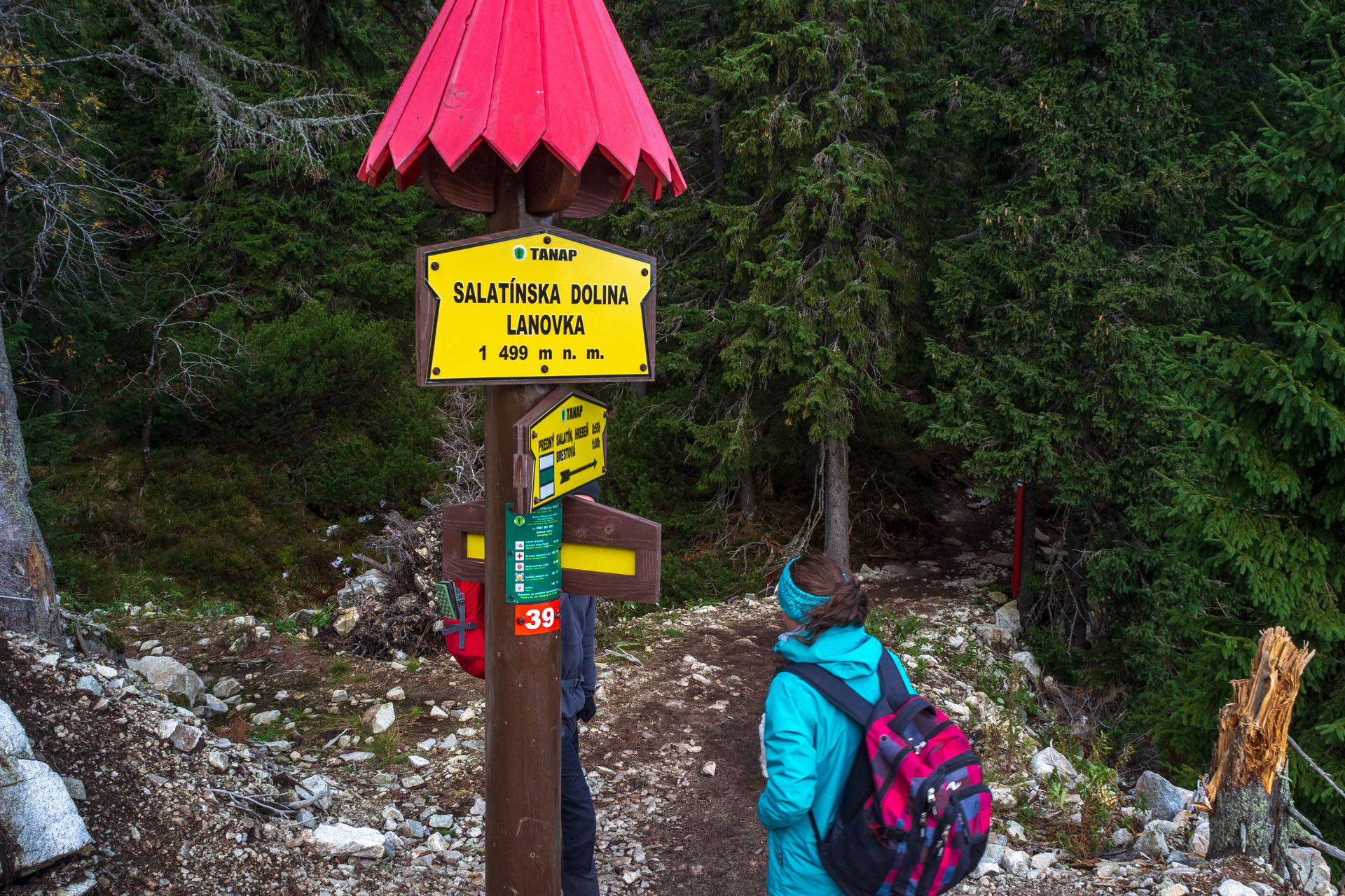 Brestová z Pod Spálenej (Západné Tatry)