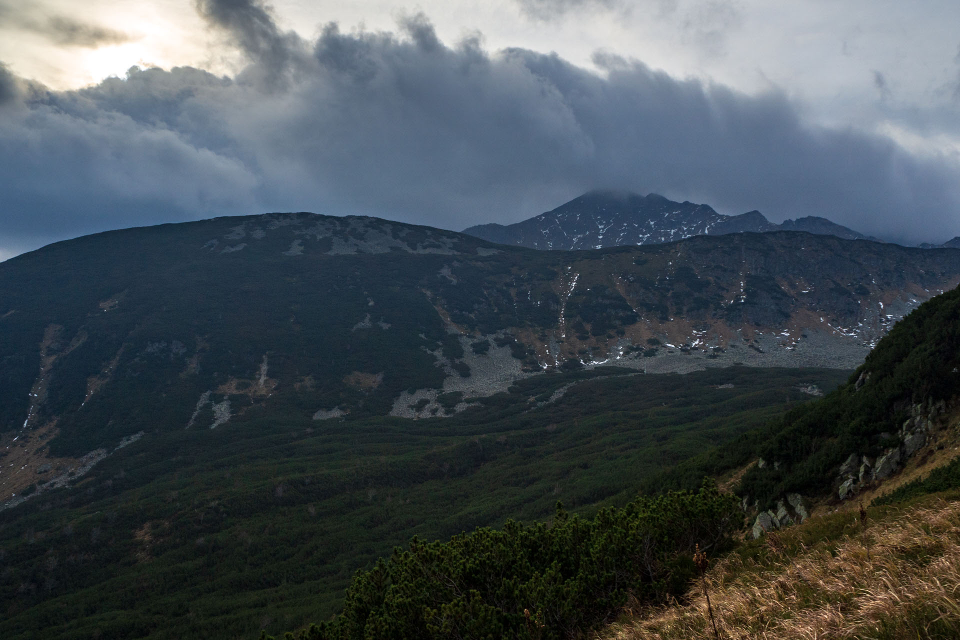 Brestová z Pod Spálenej (Západné Tatry)