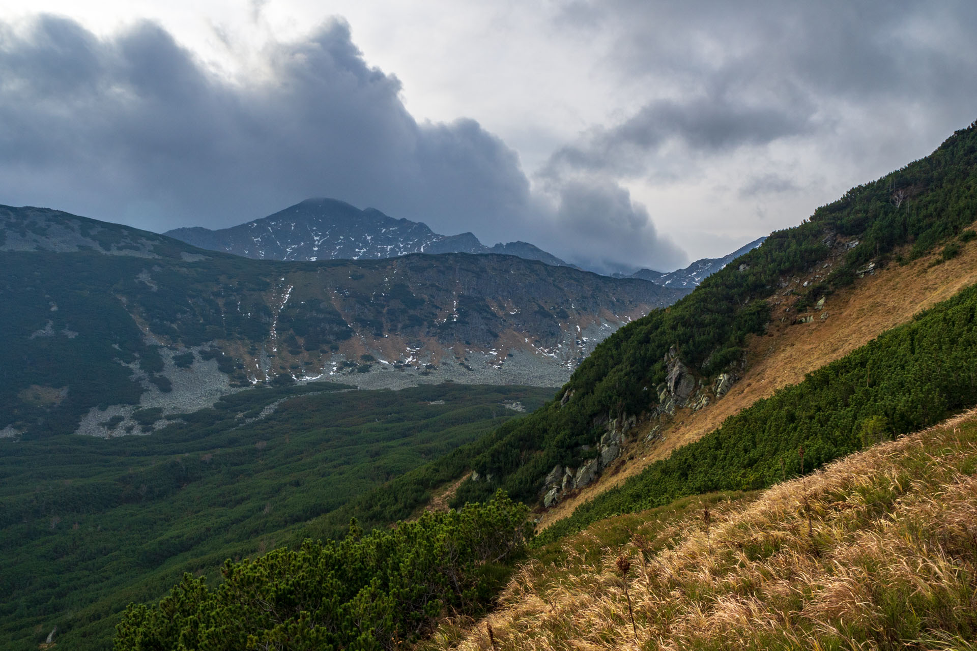 Brestová z Pod Spálenej (Západné Tatry)