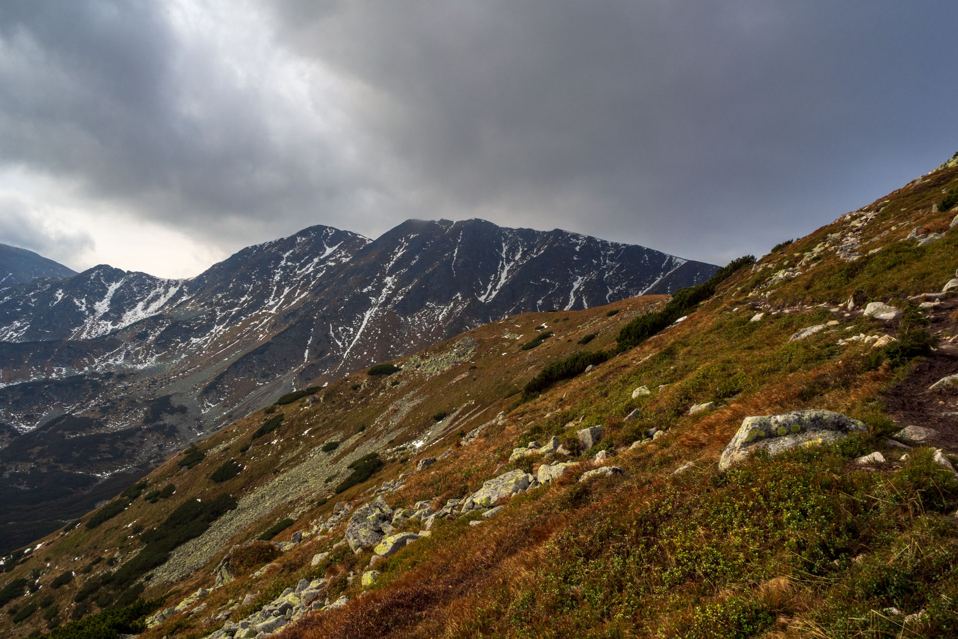 Brestová z Pod Spálenej (Západné Tatry)