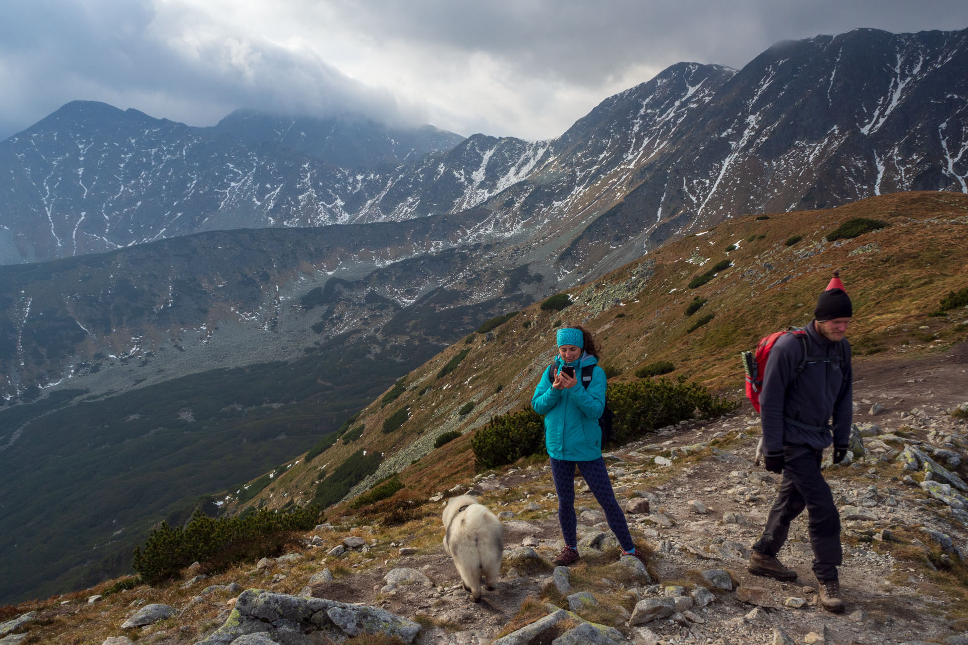 Brestová z Pod Spálenej (Západné Tatry)