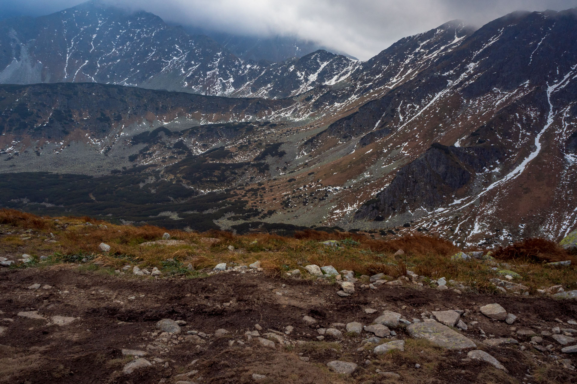 Brestová z Pod Spálenej (Západné Tatry)