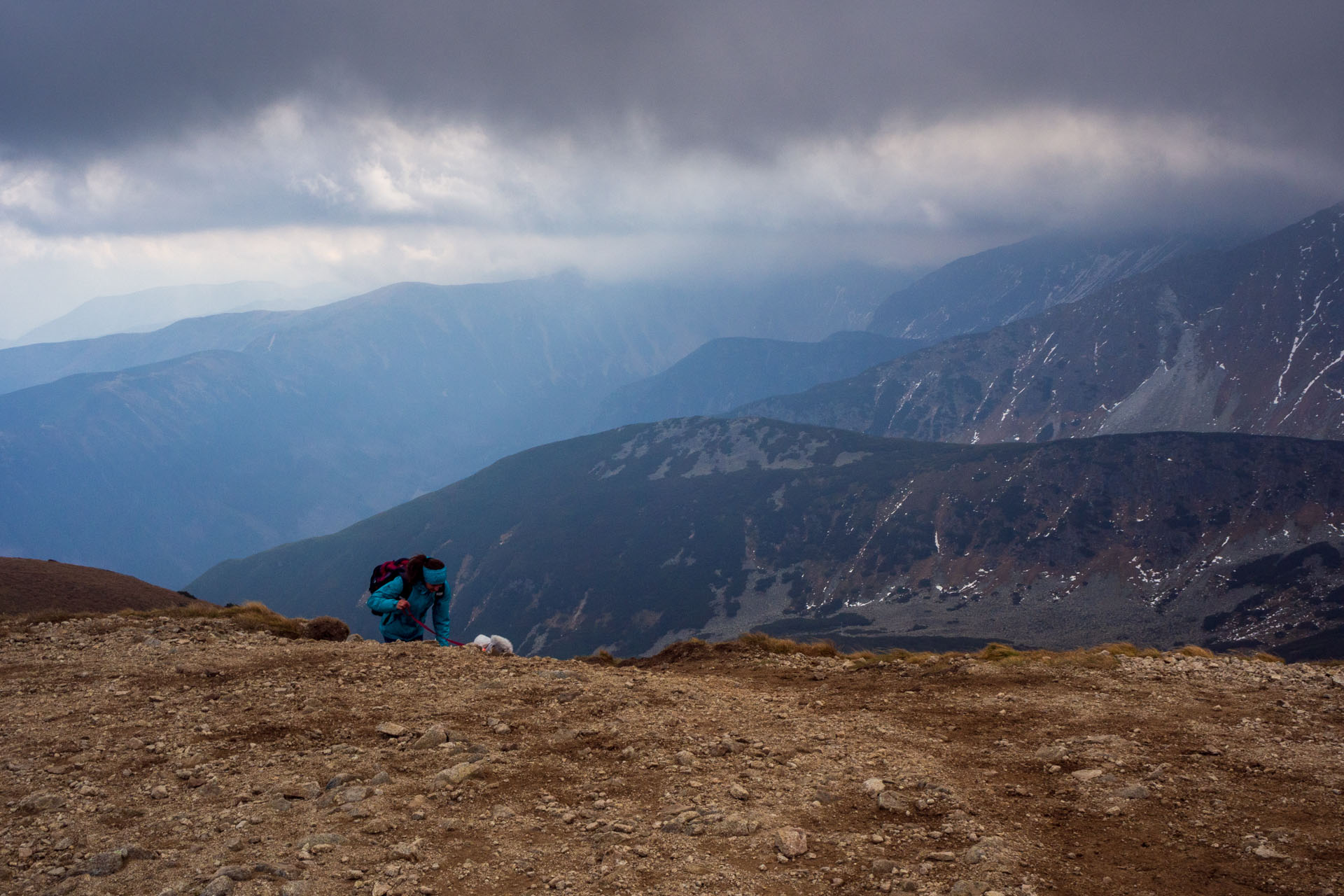 Brestová z Pod Spálenej (Západné Tatry)