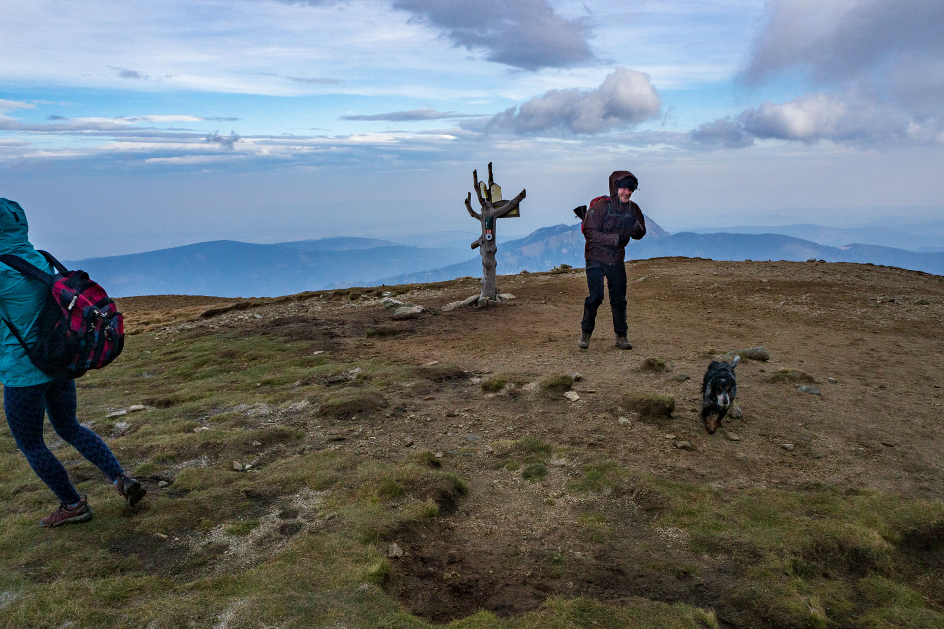 Brestová z Pod Spálenej (Západné Tatry)