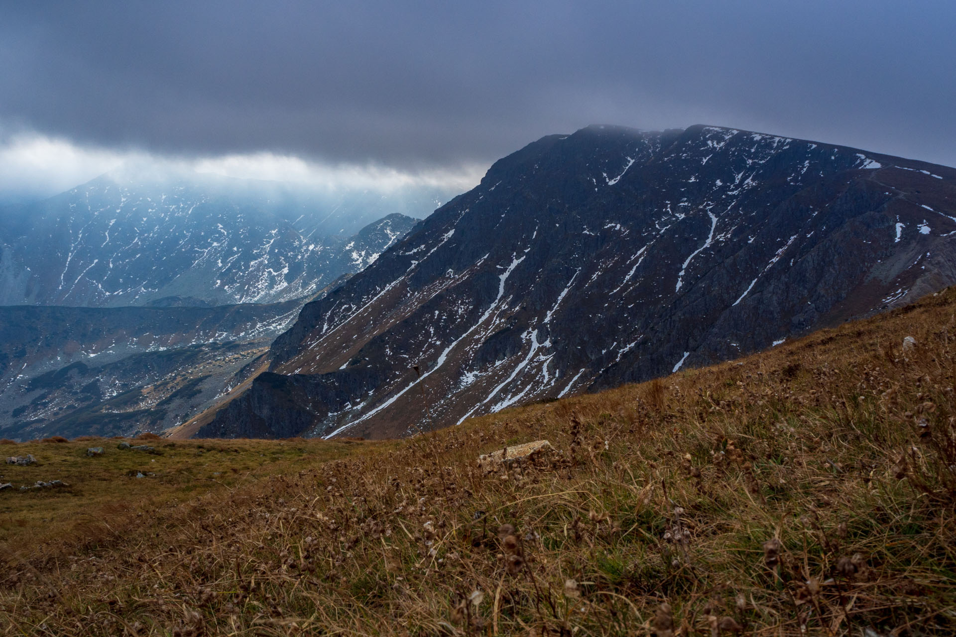 Brestová z Pod Spálenej (Západné Tatry)