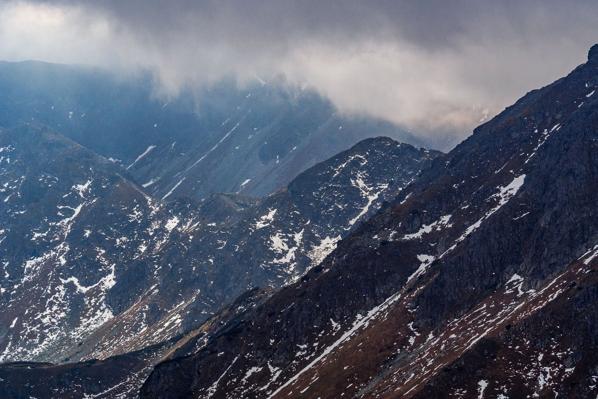 Brestová z Pod Spálenej (Západné Tatry)