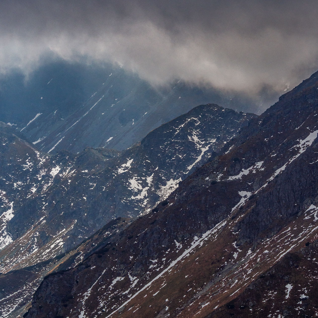 Brestová z Pod Spálenej (Západné Tatry)