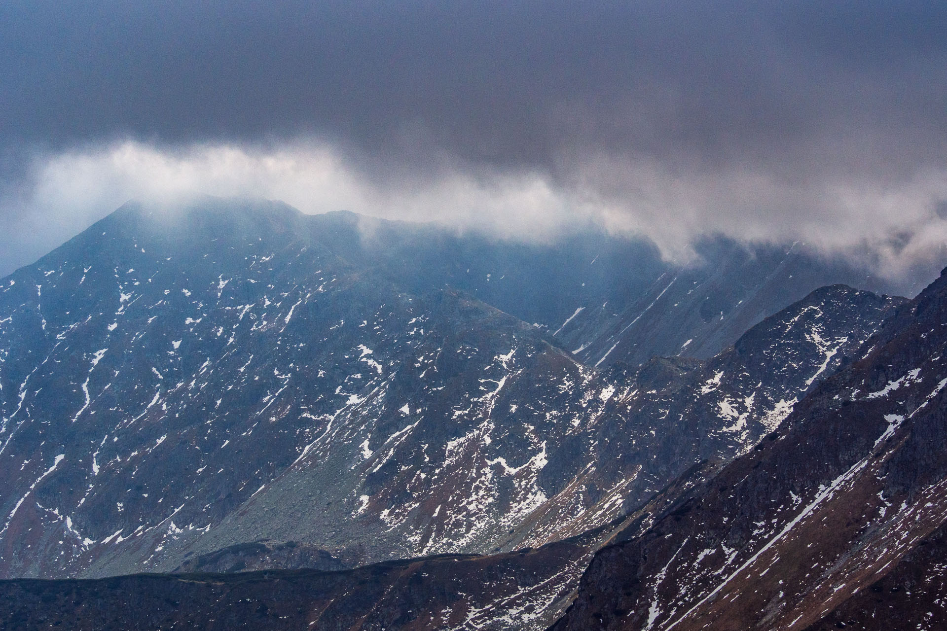 Brestová z Pod Spálenej (Západné Tatry)