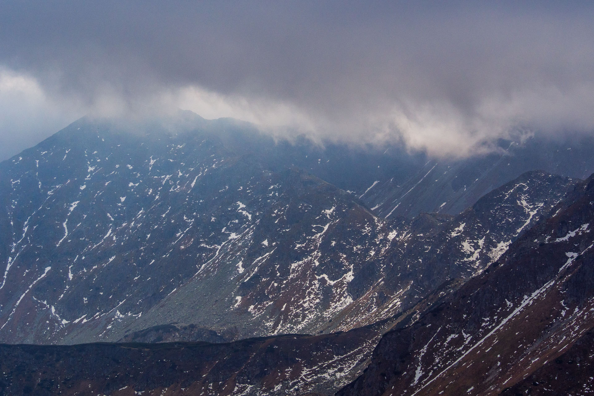 Brestová z Pod Spálenej (Západné Tatry)