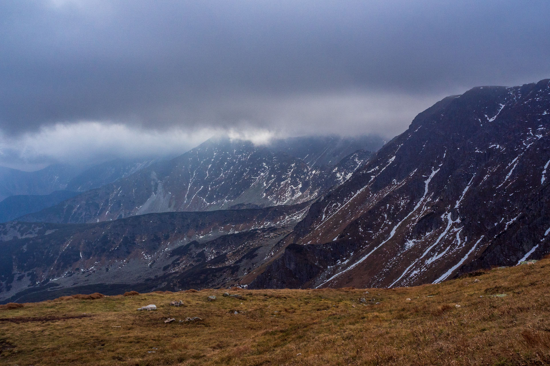 Brestová z Pod Spálenej (Západné Tatry)