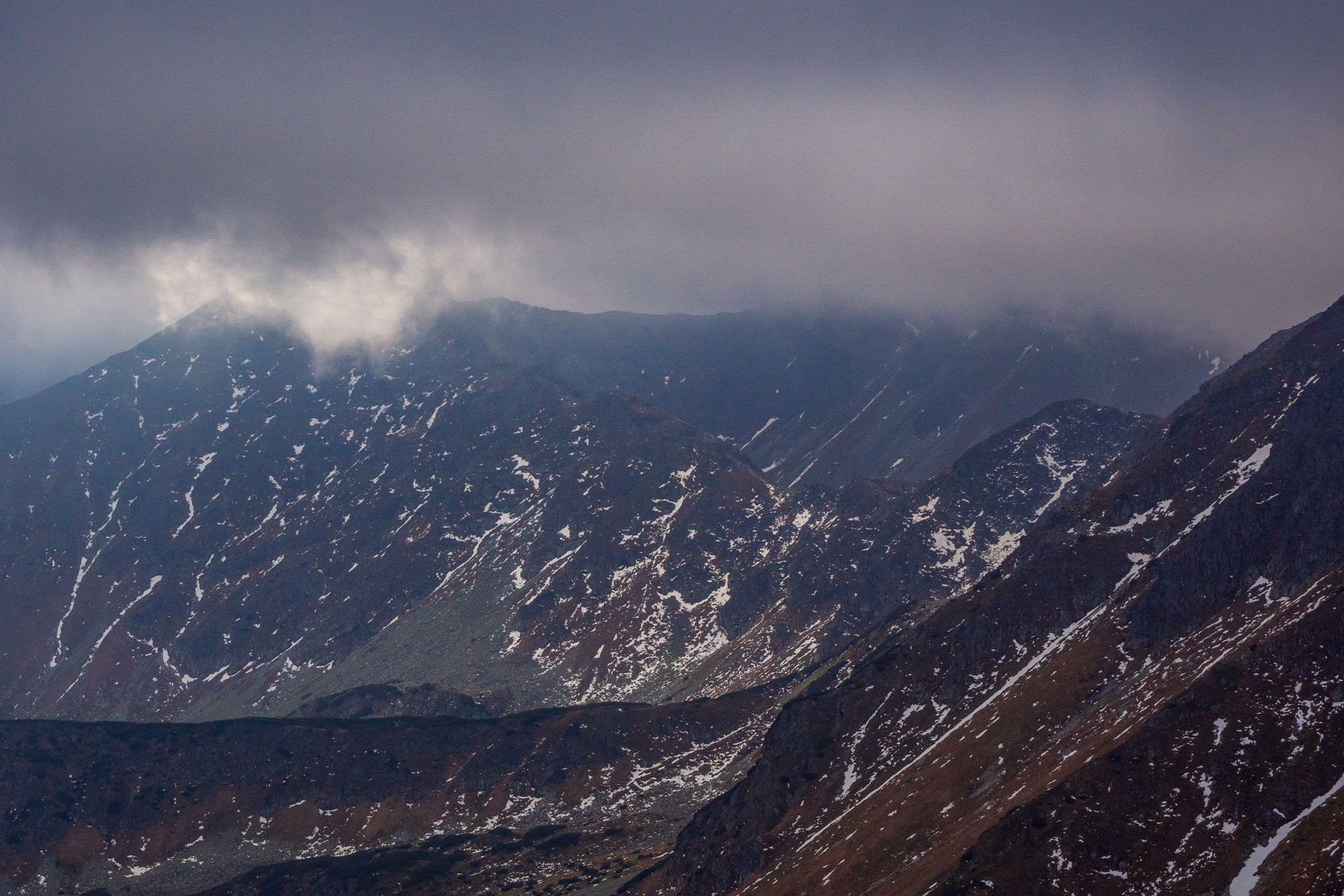 Brestová z Pod Spálenej (Západné Tatry)