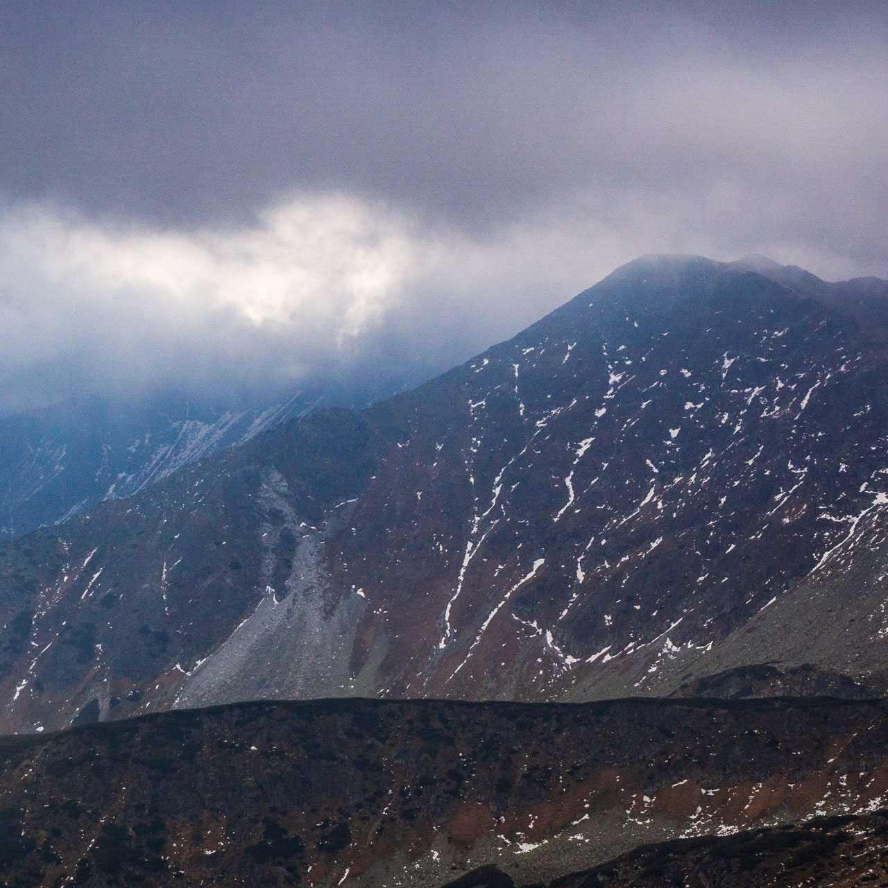 Brestová z Pod Spálenej (Západné Tatry)