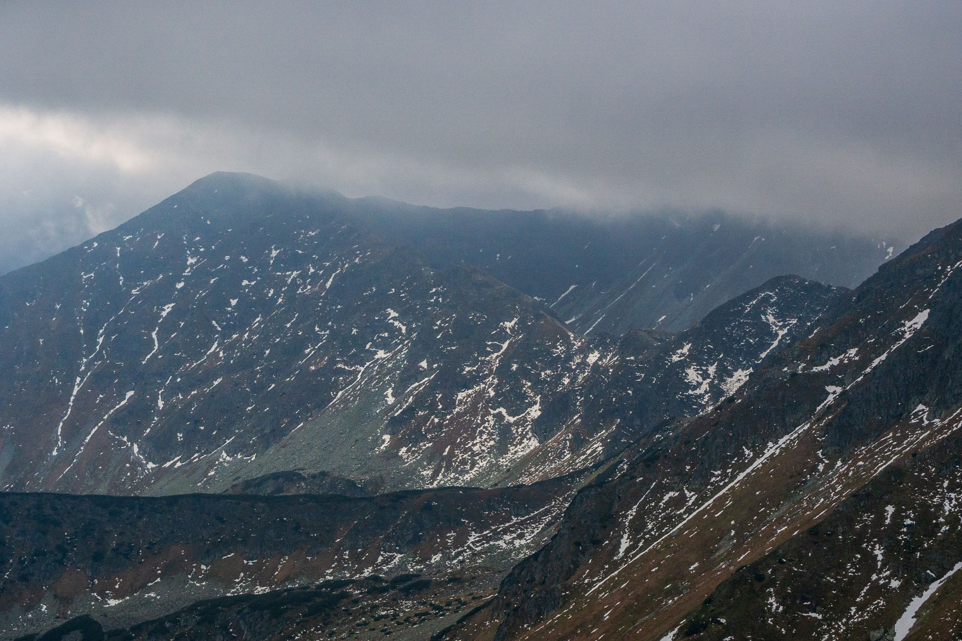 Brestová z Pod Spálenej (Západné Tatry)