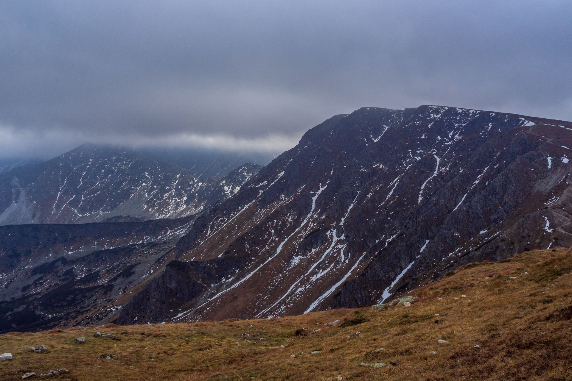 Brestová z Pod Spálenej (Západné Tatry)