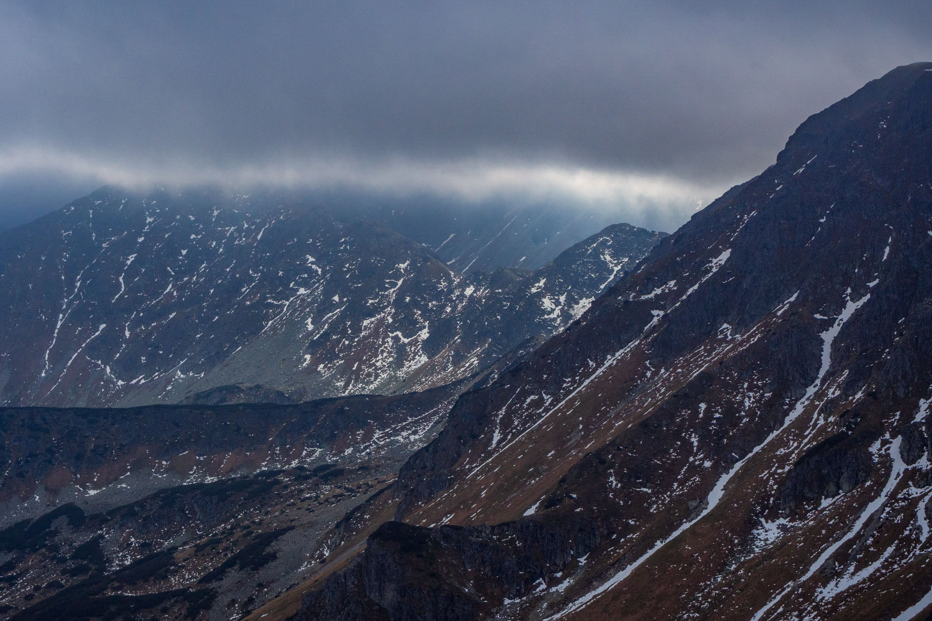 Brestová z Pod Spálenej (Západné Tatry)