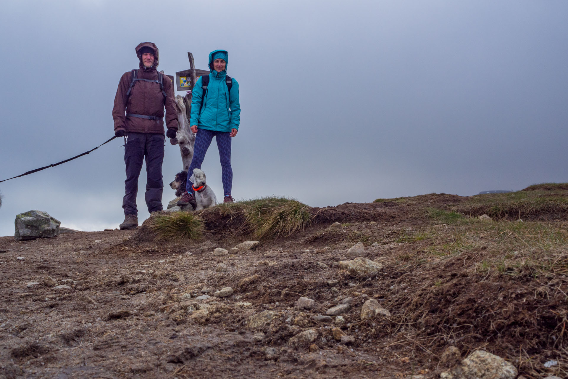 Brestová z Pod Spálenej (Západné Tatry)