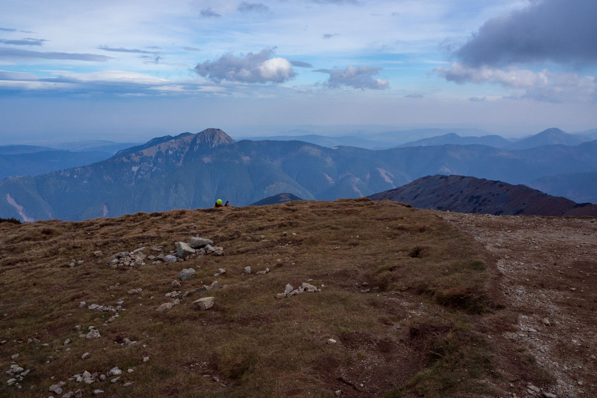 Brestová z Pod Spálenej (Západné Tatry)