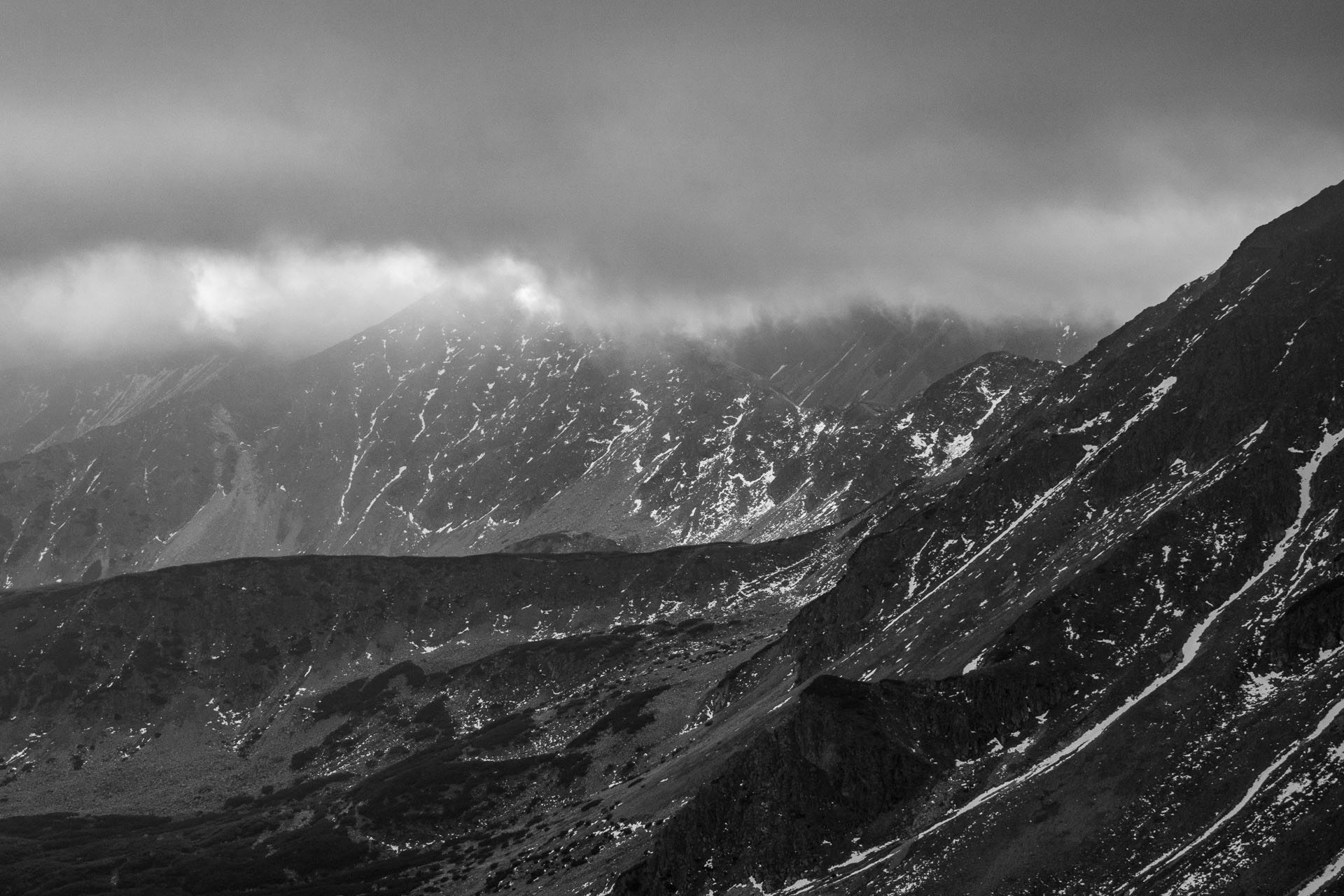 Brestová z Pod Spálenej (Západné Tatry)