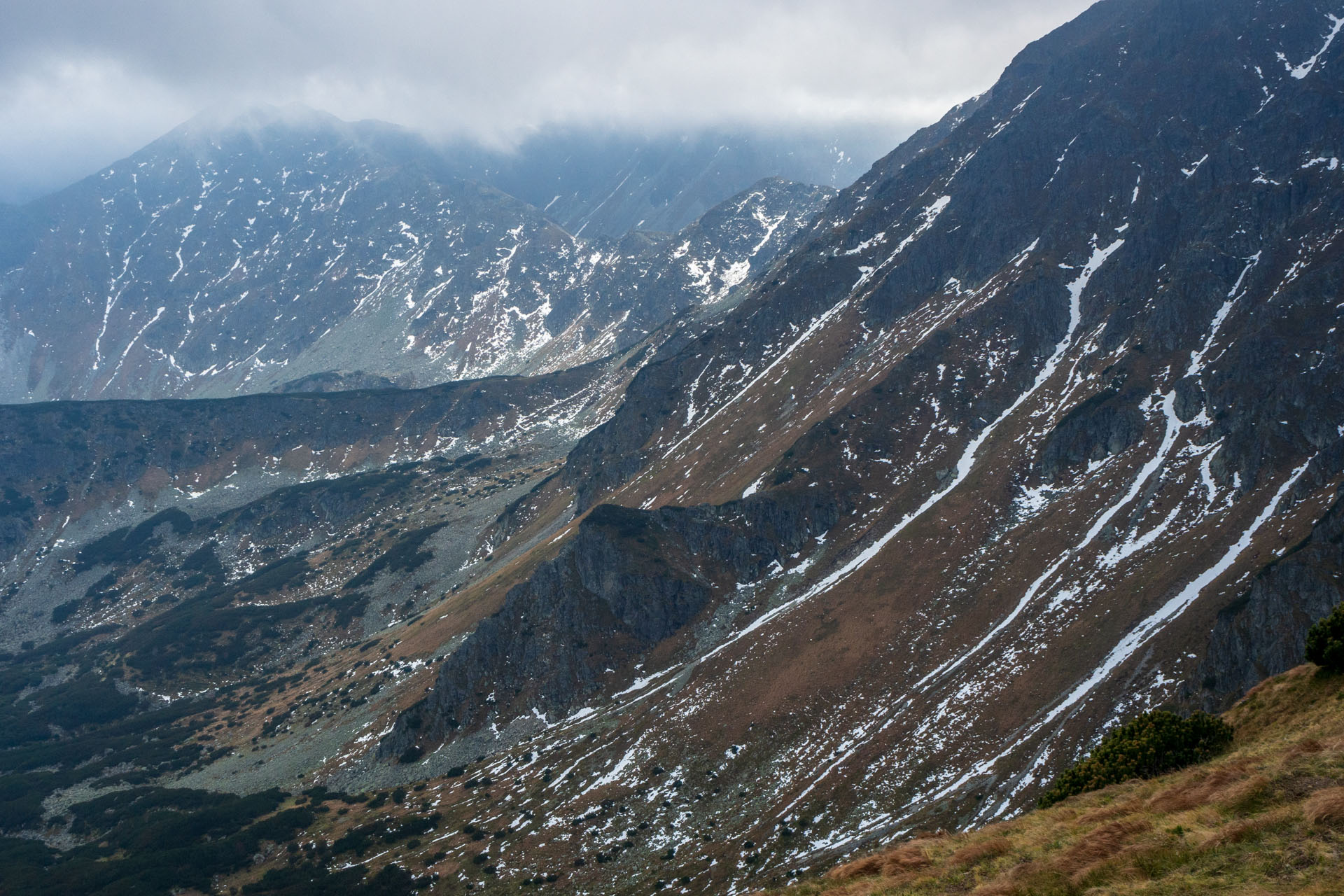 Brestová z Pod Spálenej (Západné Tatry)