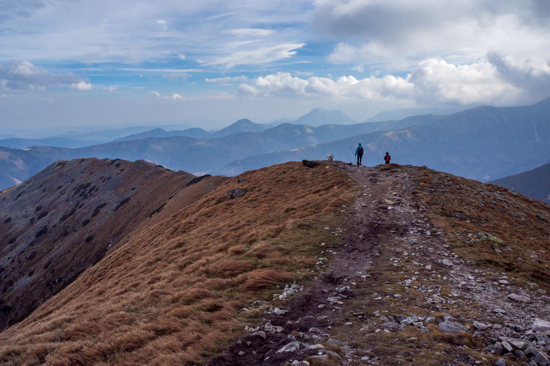 Brestová z Pod Spálenej (Západné Tatry)