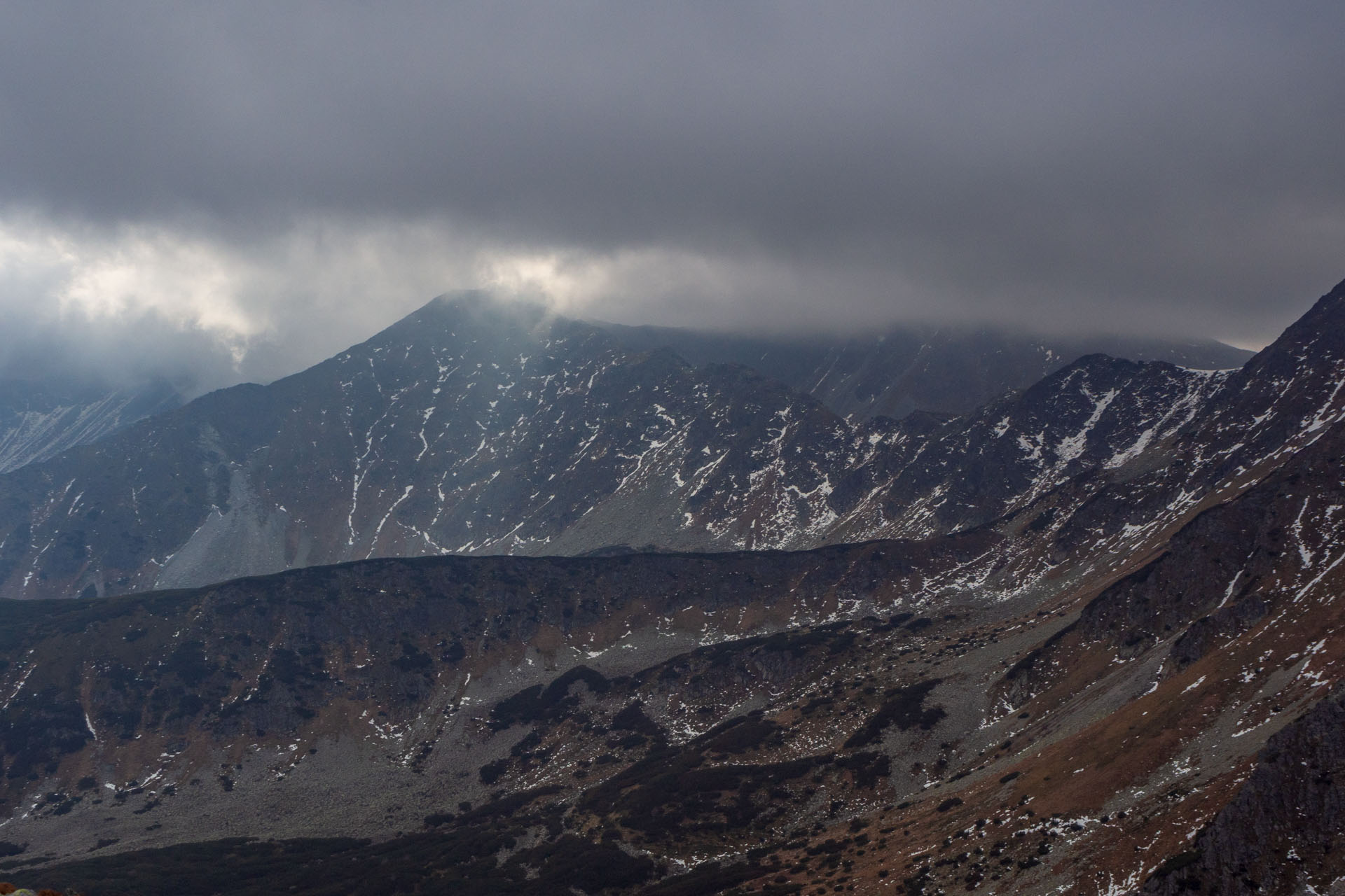 Brestová z Pod Spálenej (Západné Tatry)